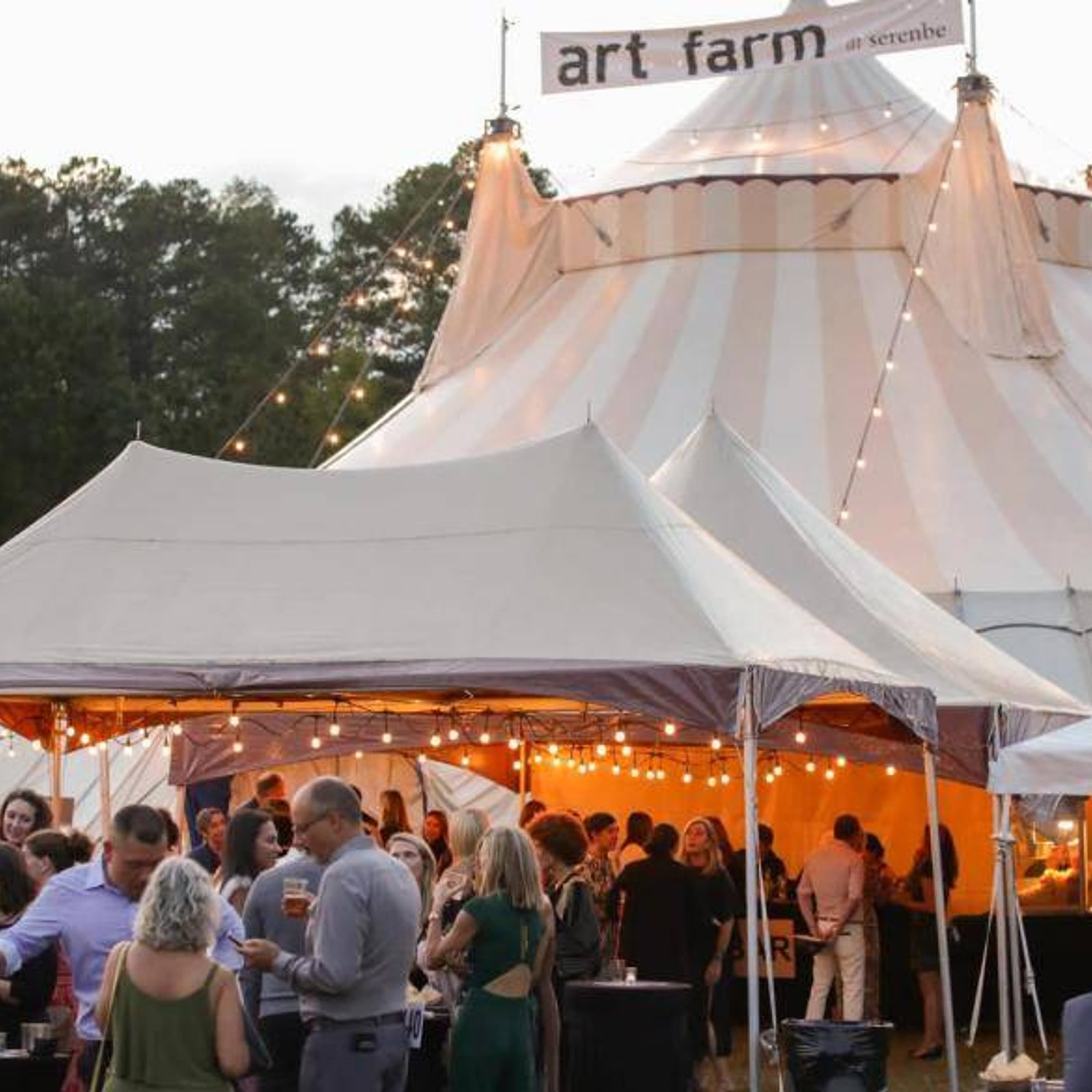 Arts, Culture, and Placemaking in the Public Domain