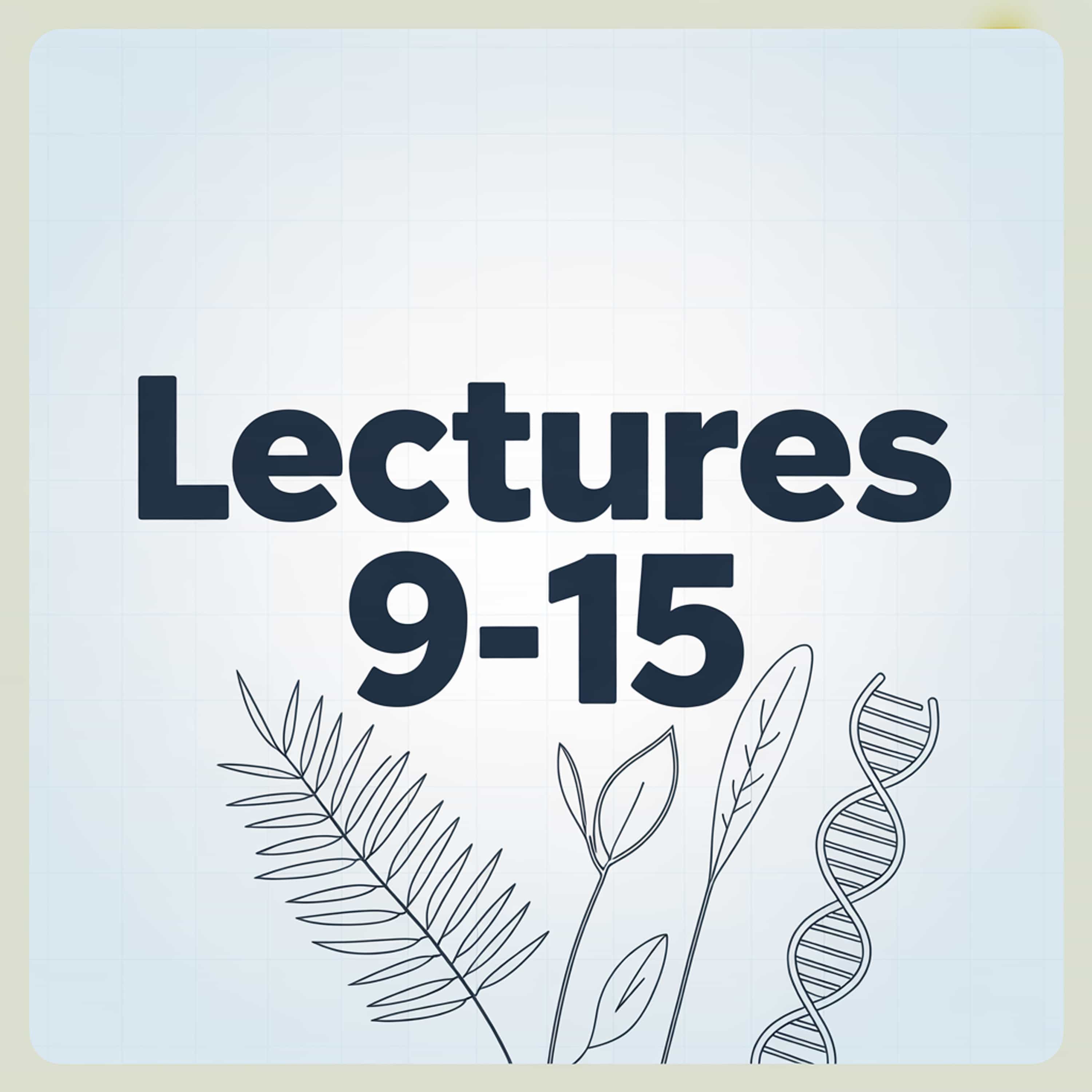 Biodiversity and adaptation