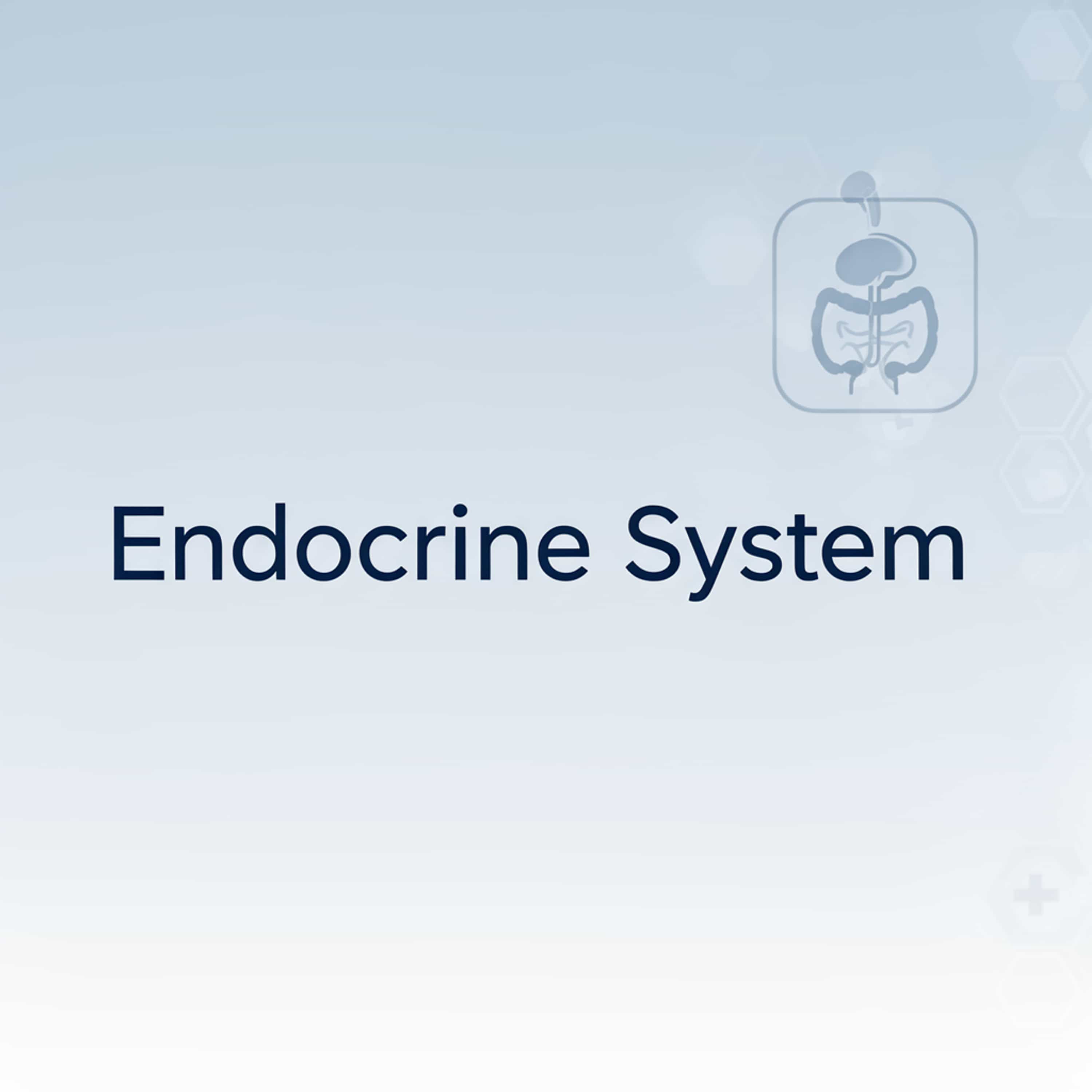 Endocrine system
